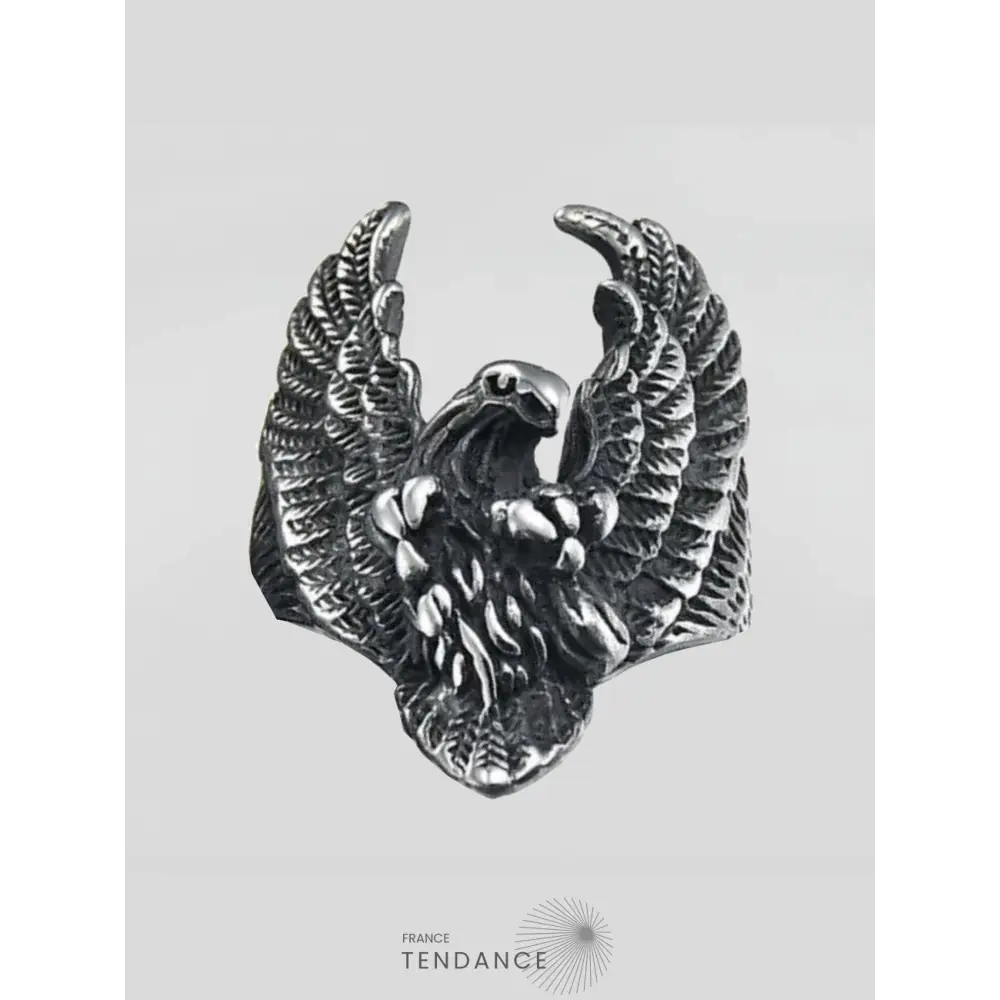 Bague Eagle Fury | France-Tendance