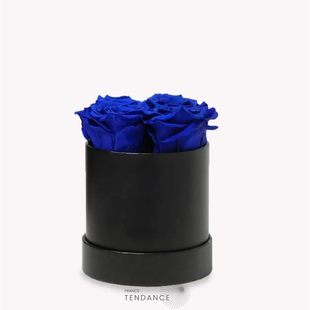 Bouquet 4 Roses éternelles Bleues | France-Tendance