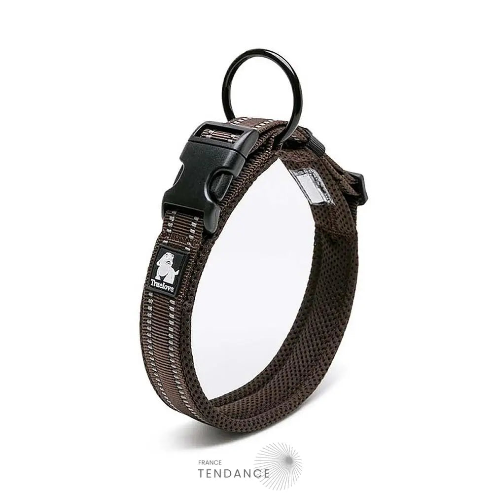 Collier Lumineux Réfléchissant Pour Chien | France-Tendance