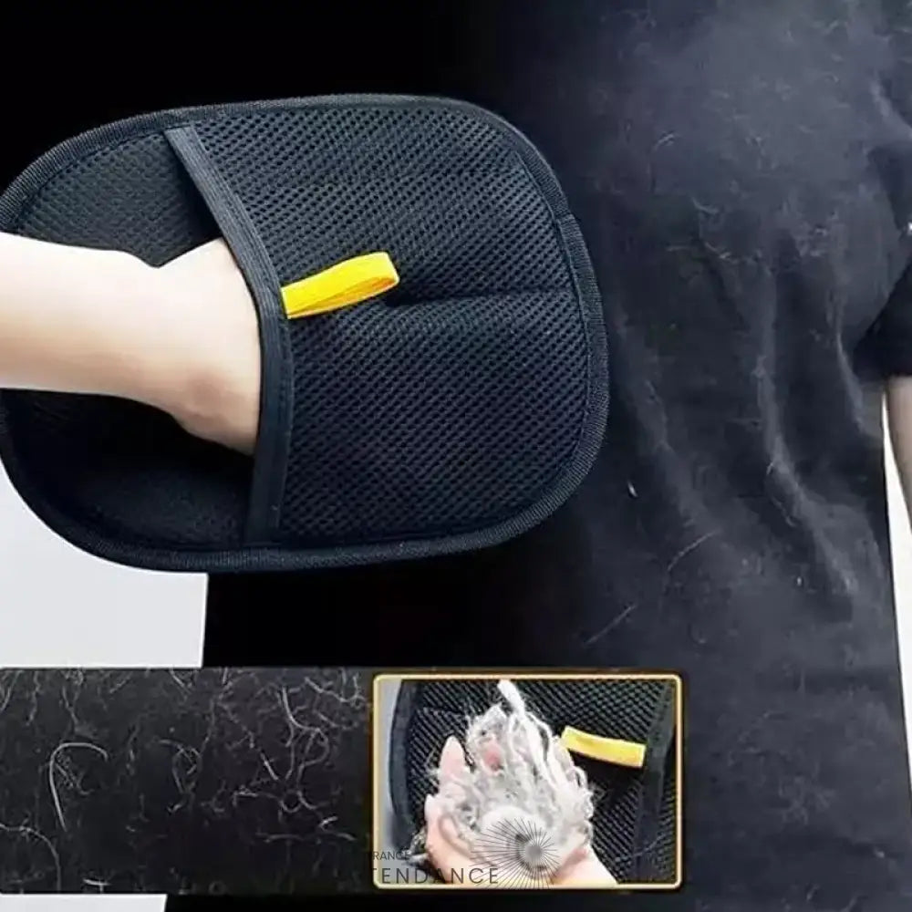 GANTIPOIL + | Le Gant Ramasse Poils révolutionnaire 2025