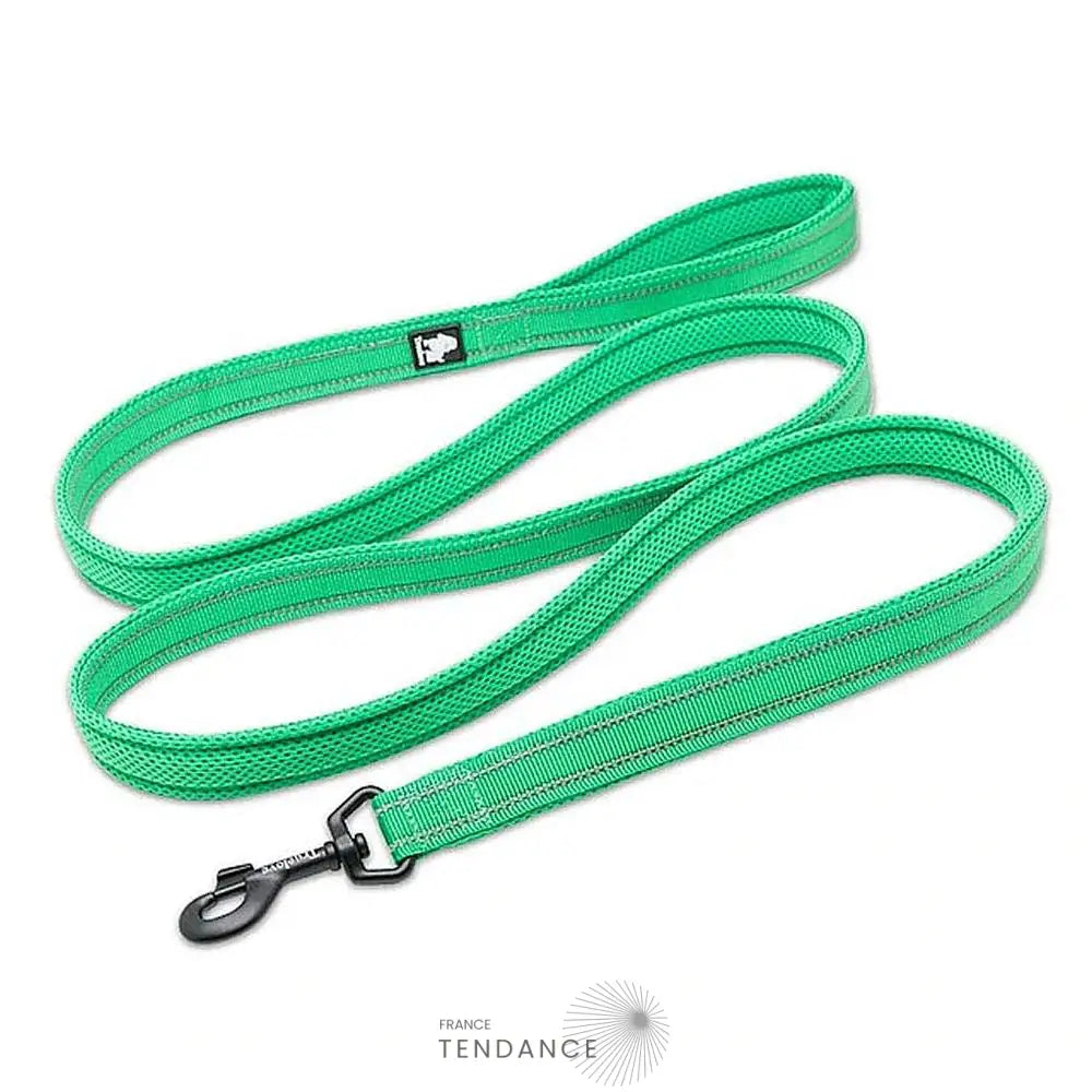 Laisse Lumineuse Réfléchissante | France-Tendance