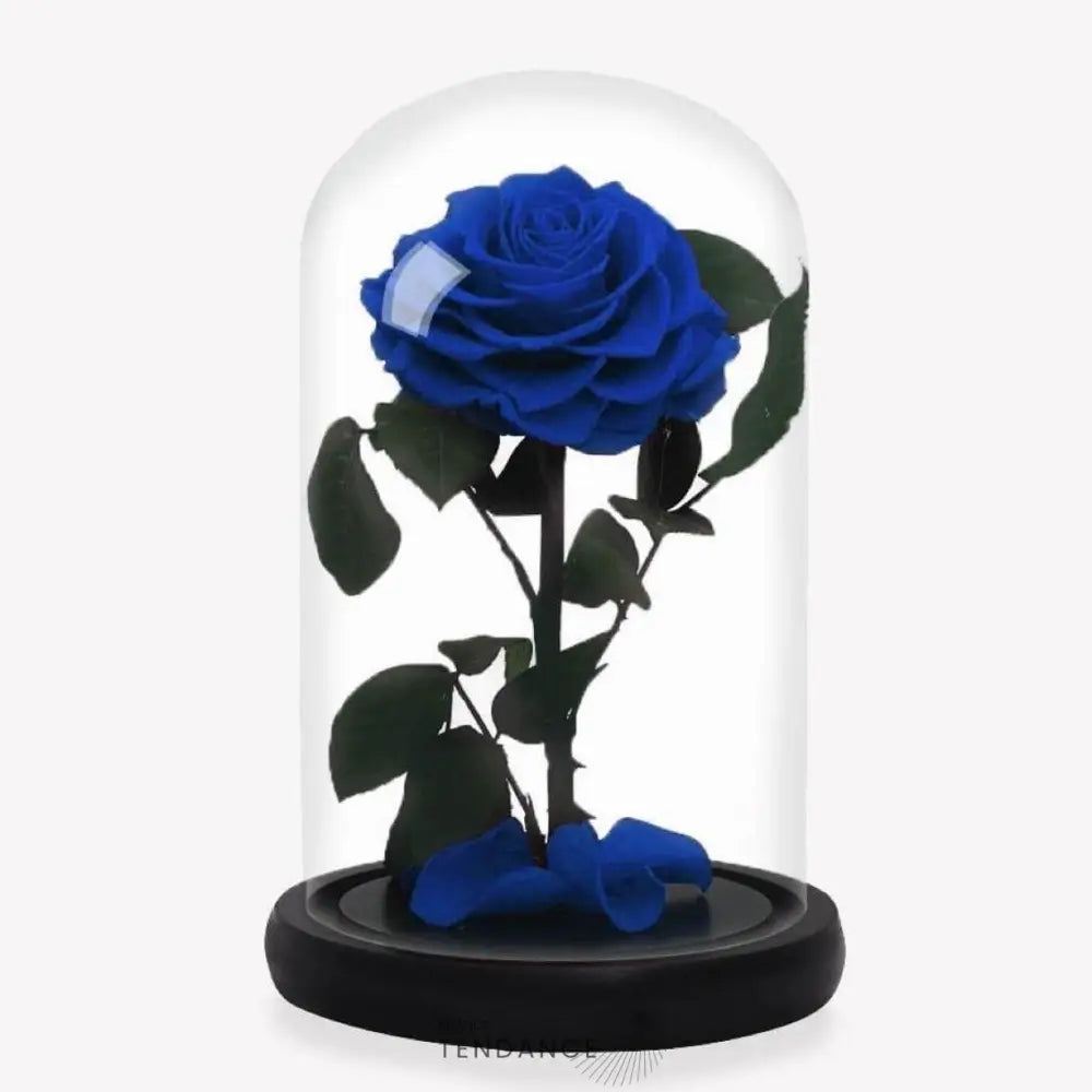 Rose Stabilisée Bleue | France-Tendance