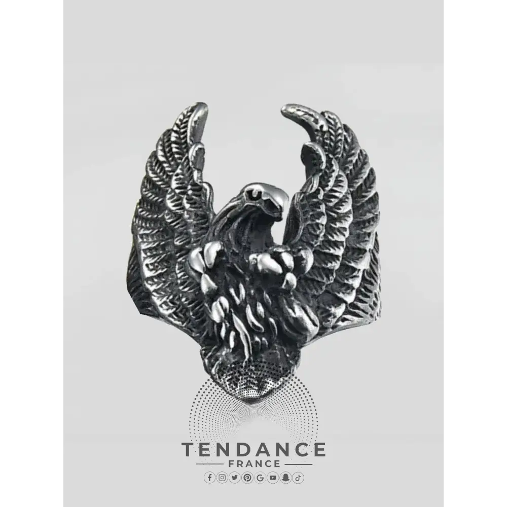 Bague Eagle Fury | France-Tendance