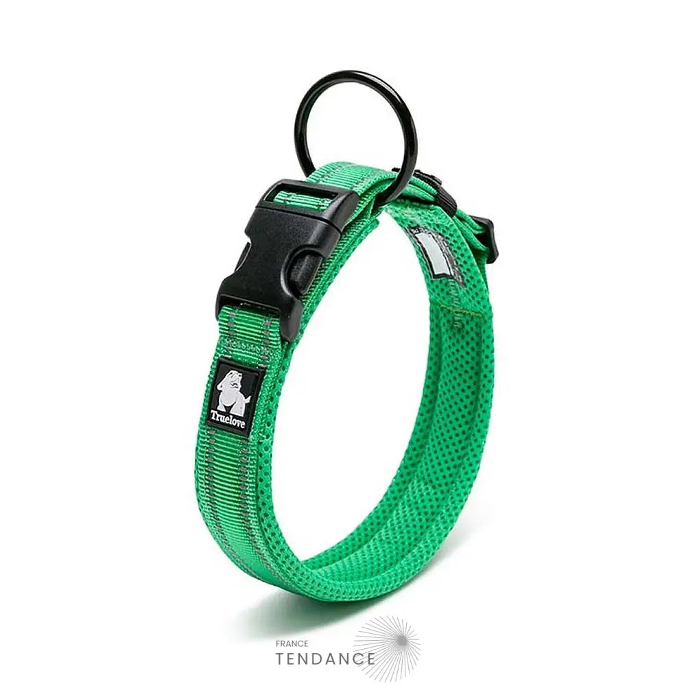 Collier Lumineux Réfléchissant Pour Chien | France-Tendance