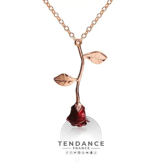 Collier Rose éternelle | France-Tendance