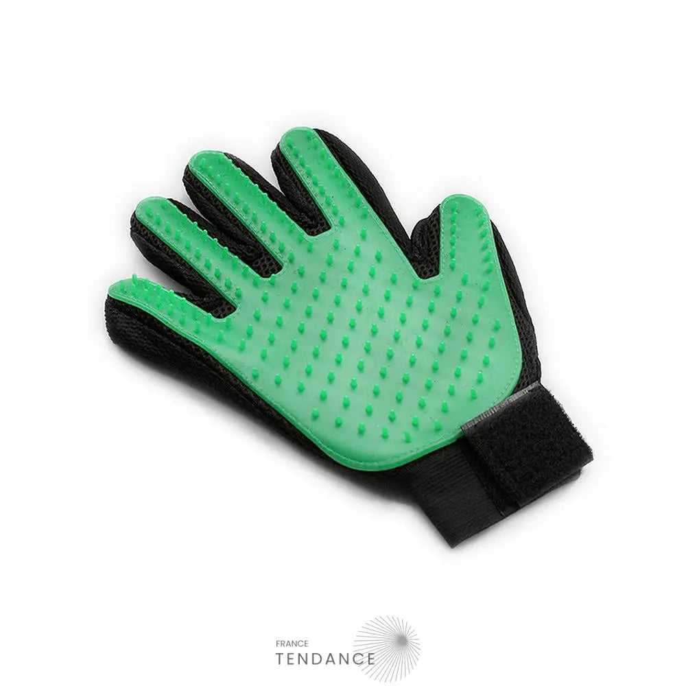 Gant De Massage Et Toilettage Pour Chat Chien |