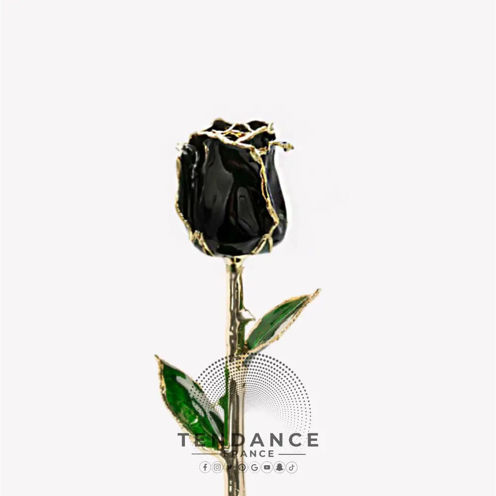 Rose En Or Noire | France-Tendance