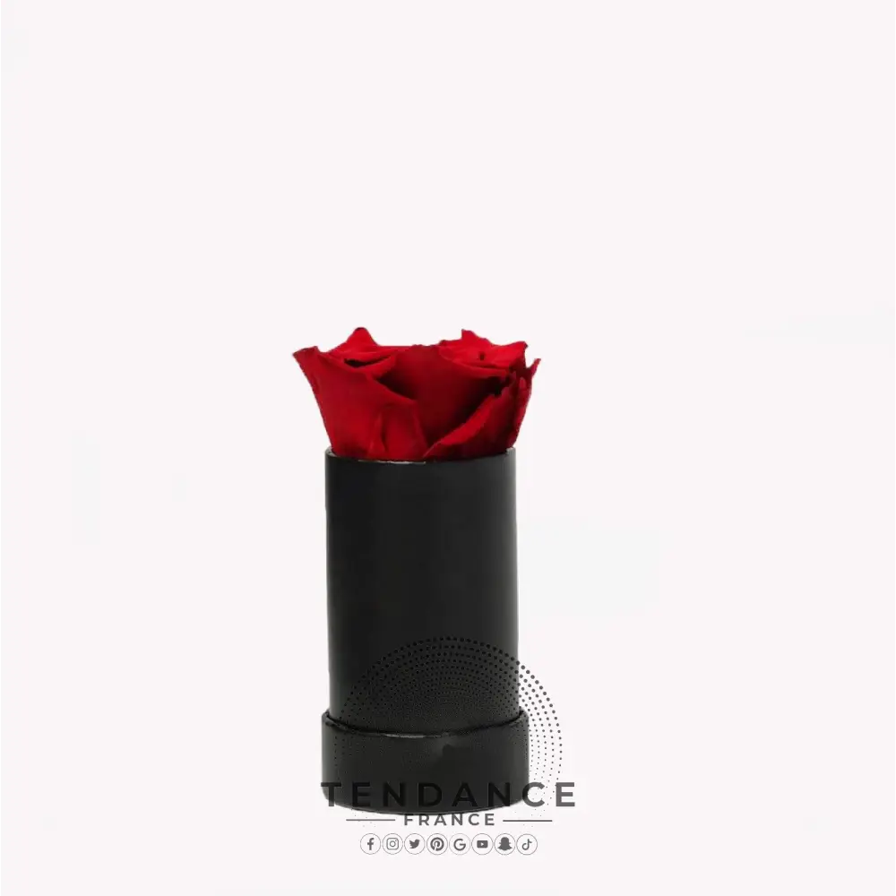 Rose Stabilisée Rouge Boîte Noire | France-Tendance