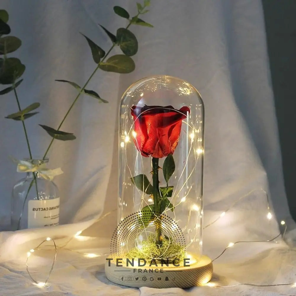 Rose éternelle Sous Cloche Lumineuse Rouge | France-Tendance