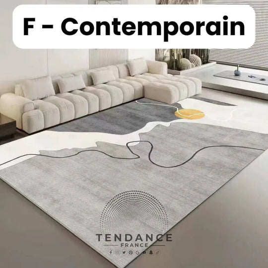 Tapis Magique Intachable | Incroyable Mais Vrai! F - Contemporain / Paillasson (0.4X0.6M) Salon