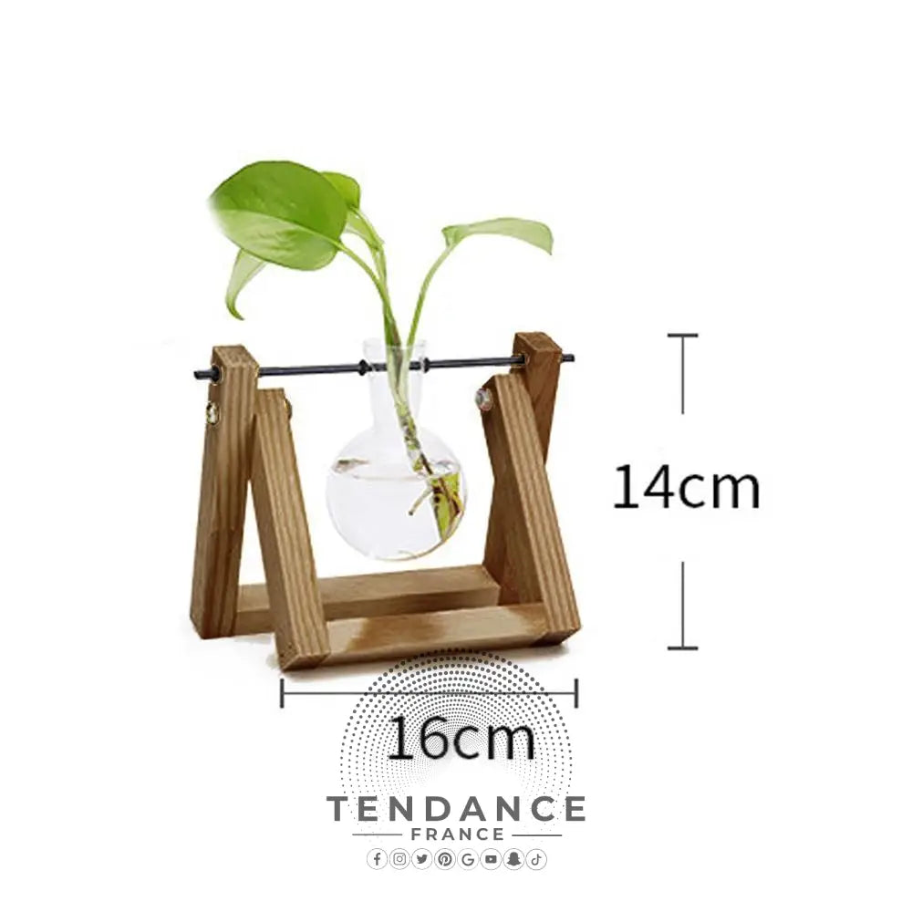 Terrarium Avec Support En Bois | France-Tendance